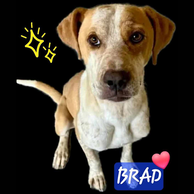 Photo of Bradley