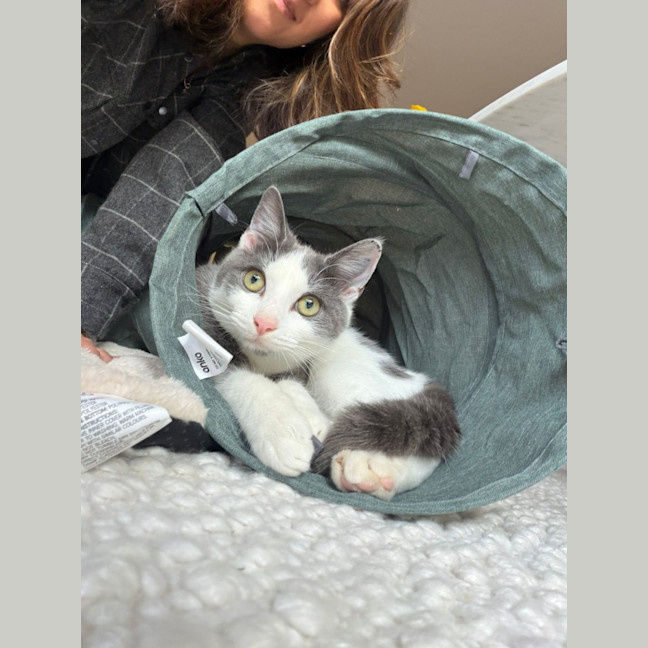 Photo of Oliver