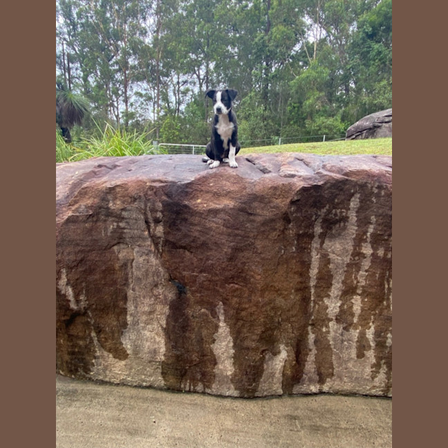 Photo of Olive 
