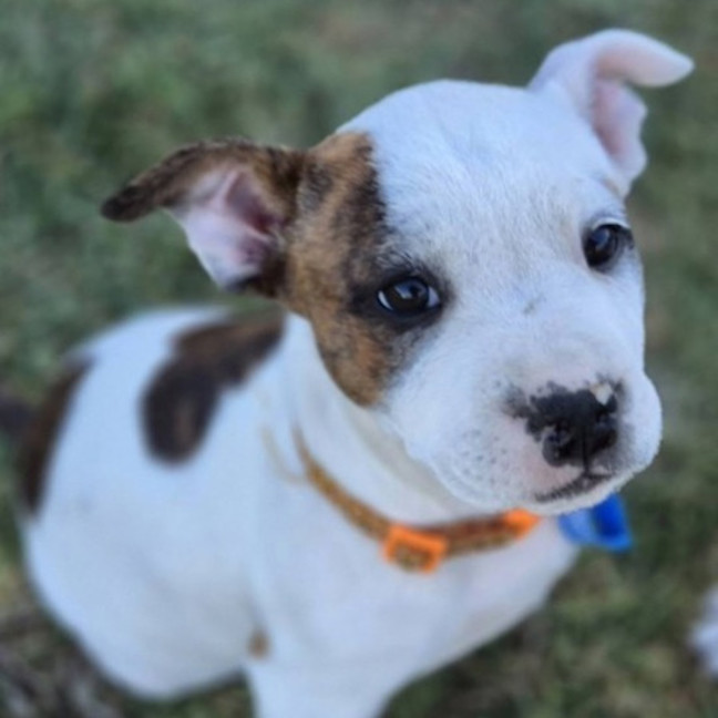 Photo of Storm