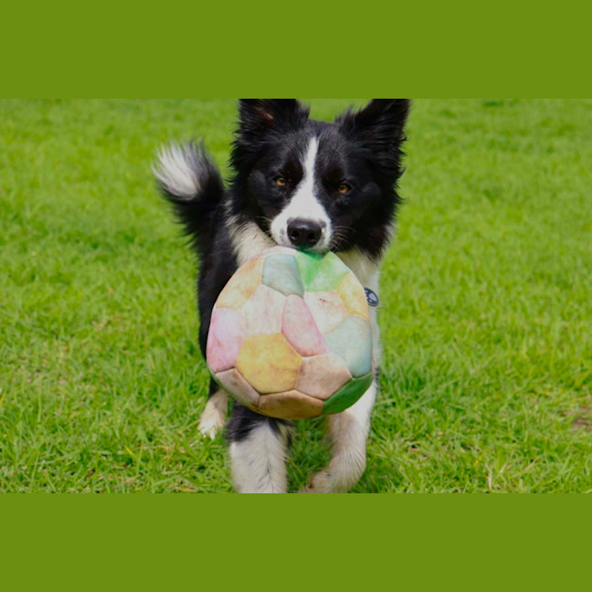Photo of Nellie