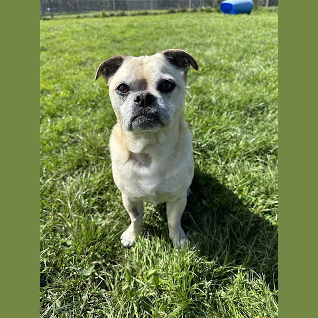 Photo of Herbie
