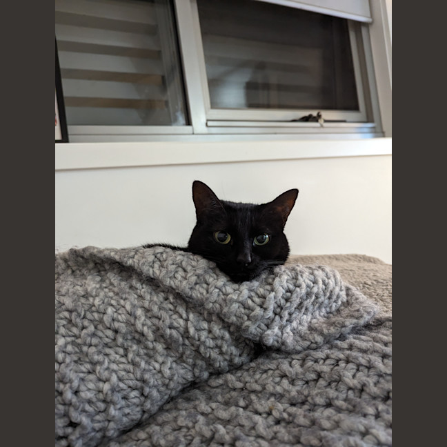 Photo of Chara