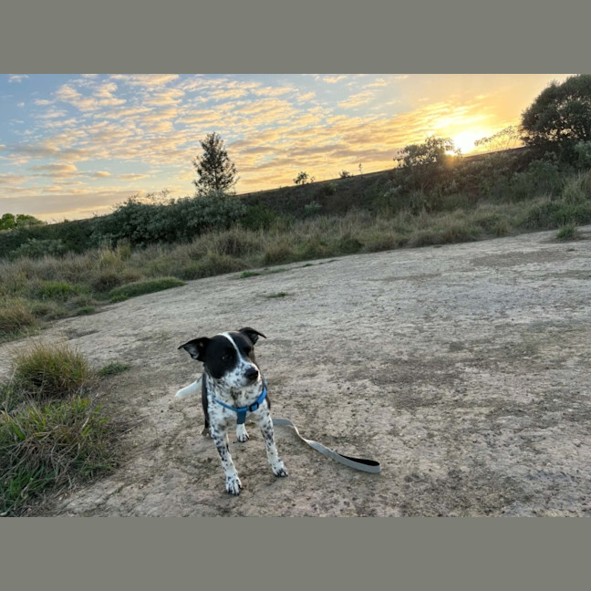 Photo of Duke