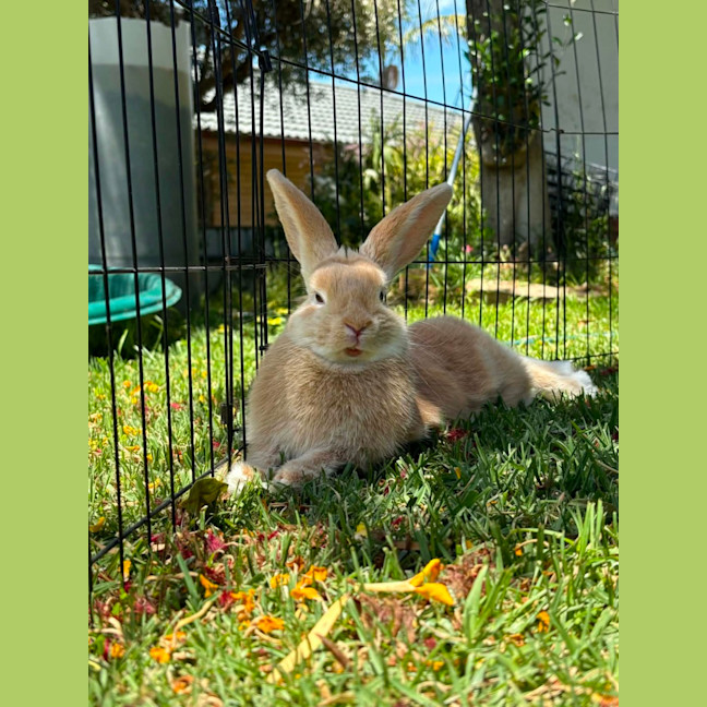 Photo of Jinny