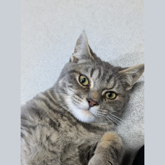 Photo of 👾 Chops 5440 👾