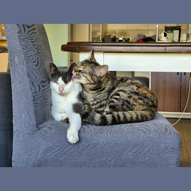 Photo of Stu / Sophie