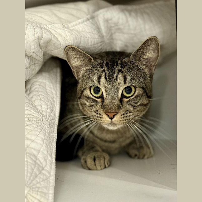 Photo of Gary The Snail