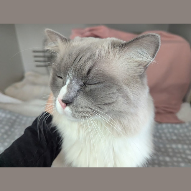 Photo of Leo