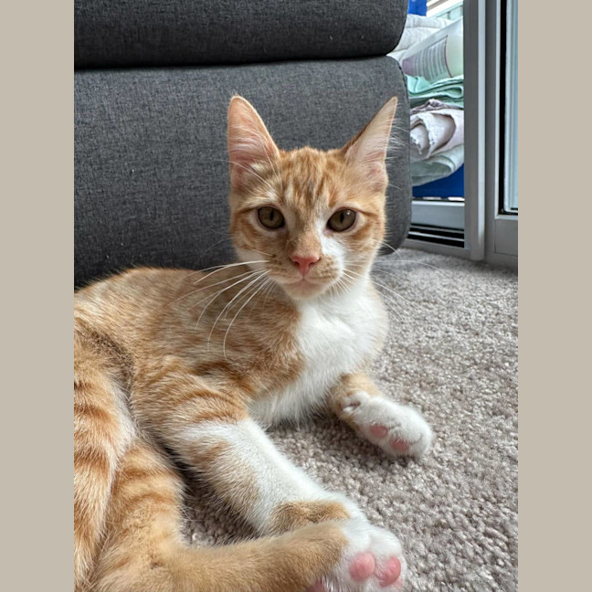 Photo of Rory