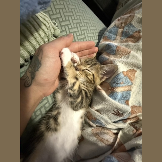 Photo of Duckie