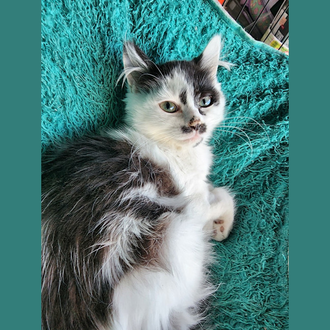 Photo of Matilda 
