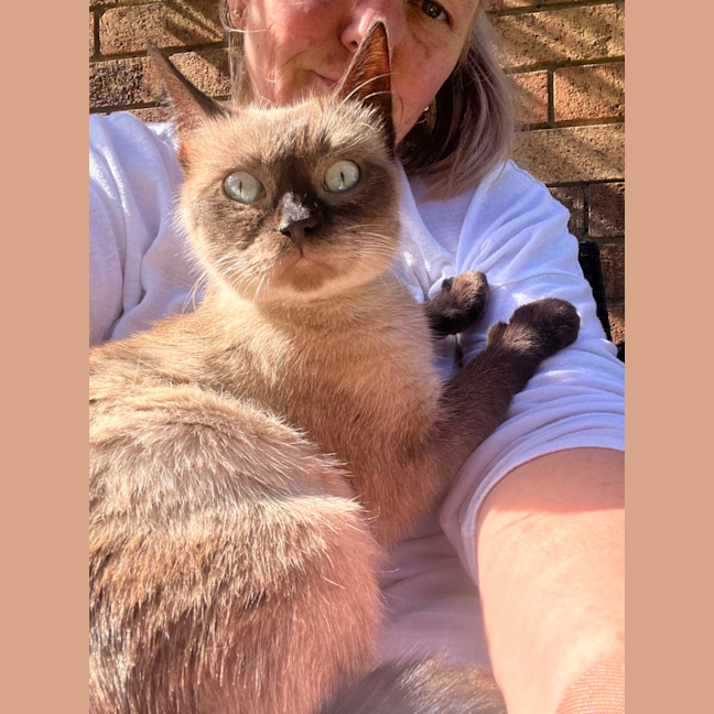 Photo of Queenie