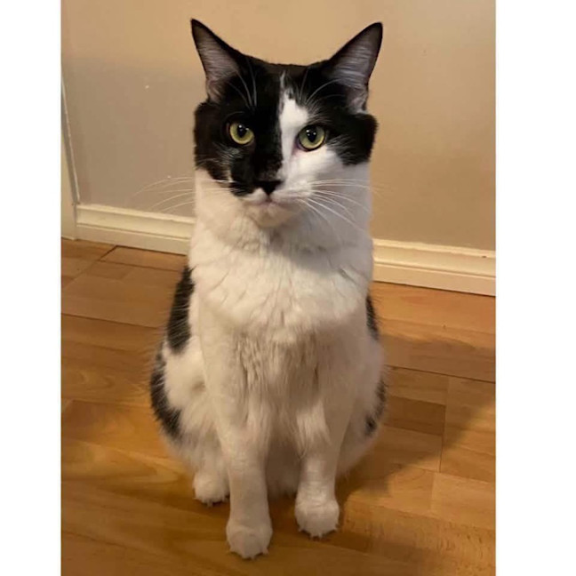Photo of 11676   Mabel