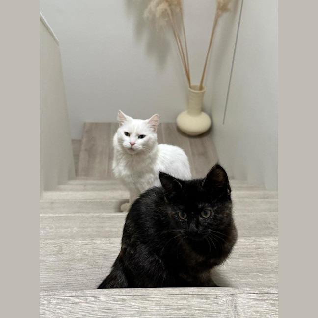 Photo of Bella & Fleur