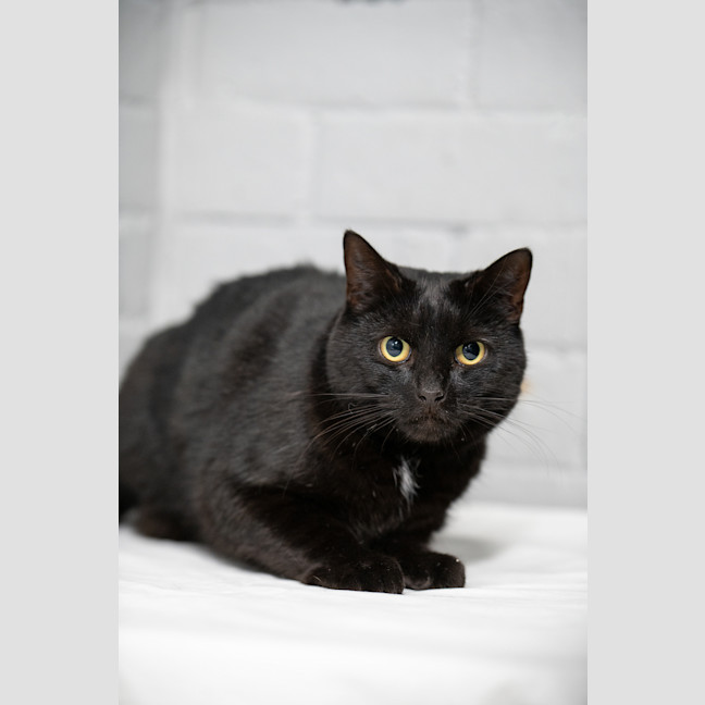 Photo of Betty