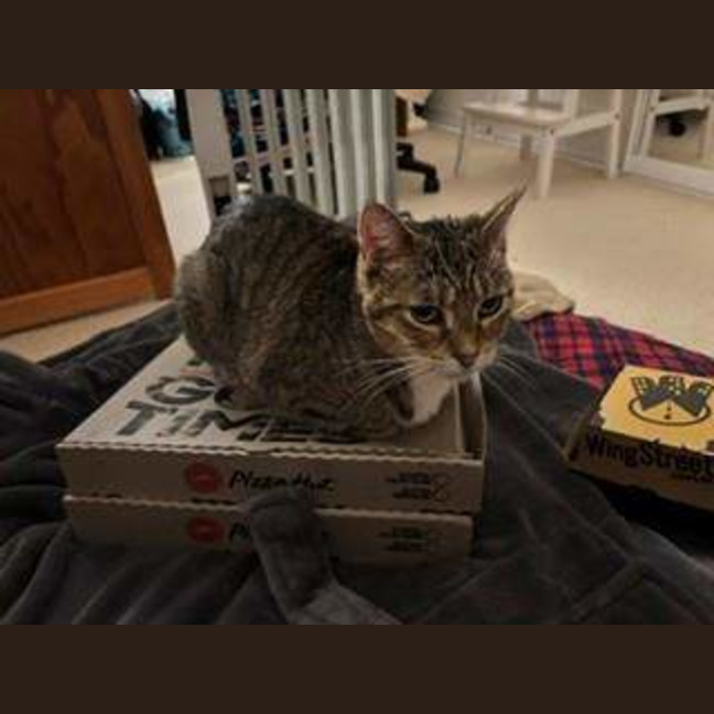 Photo of Lily
