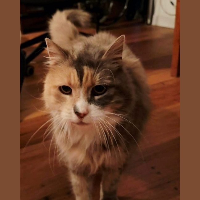 Photo of Millie
