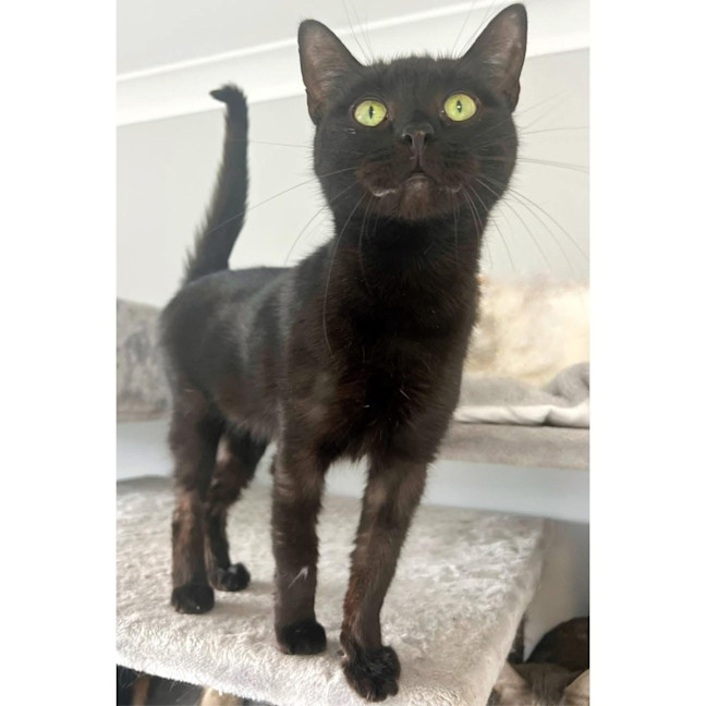 Photo of 1180   Zena