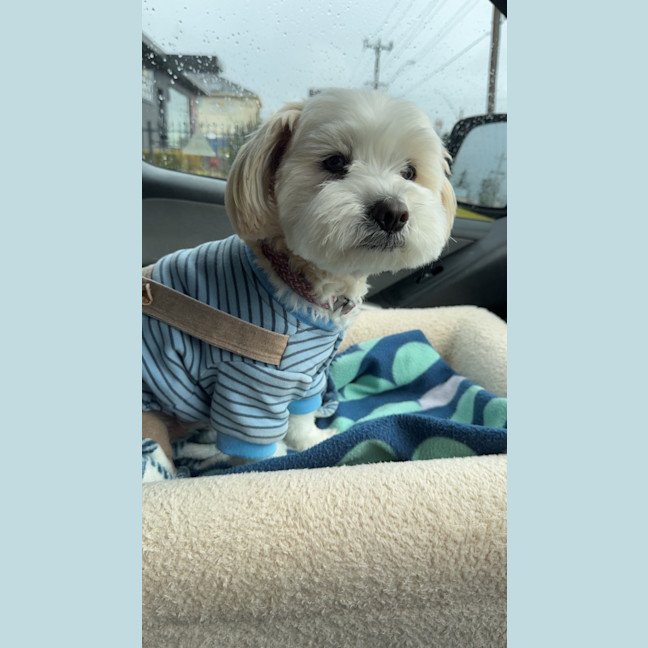 Photo of Miki