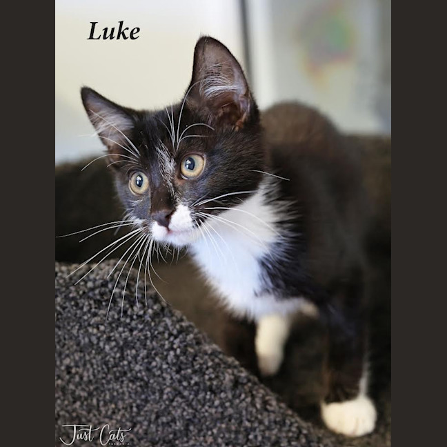 Photo of Luke
