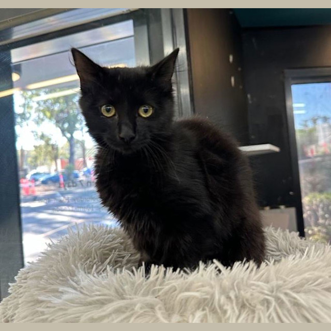 Photo of Loveheart Pasta