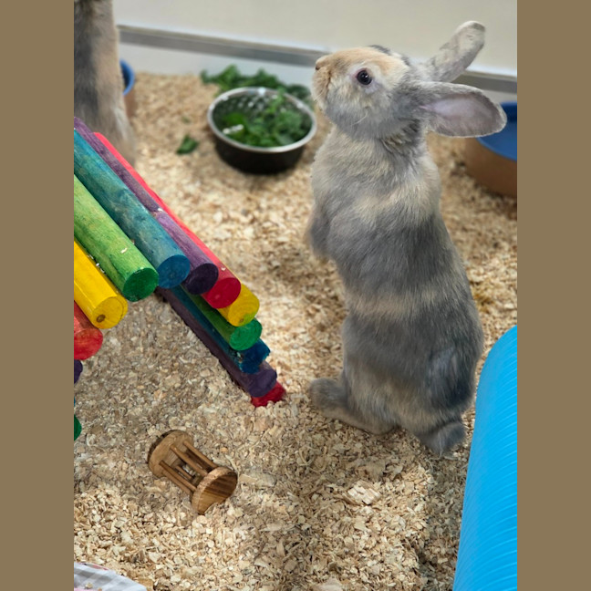 Photo of Qutie & Quince