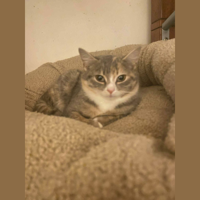 Photo of Crysta