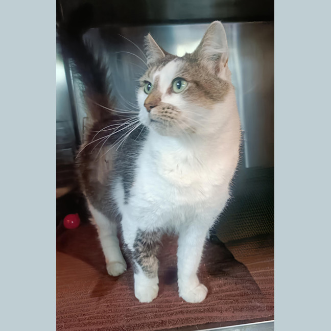 Photo of Fran