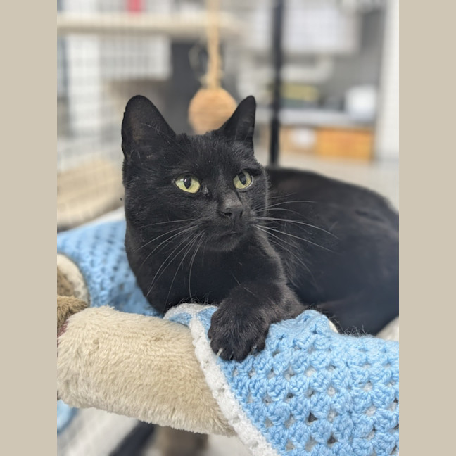 Photo of 🌮 Frankie 6184 🌮