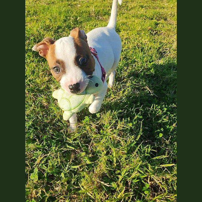Photo of Lil P