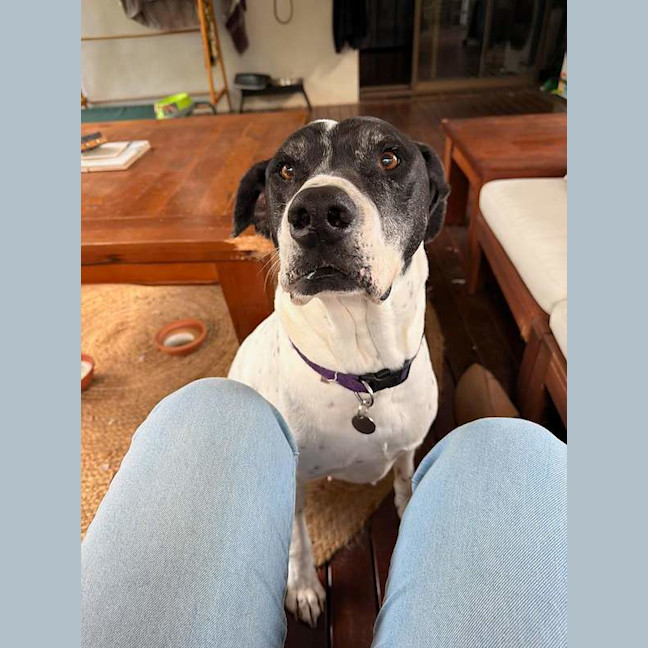 Photo of Gracie