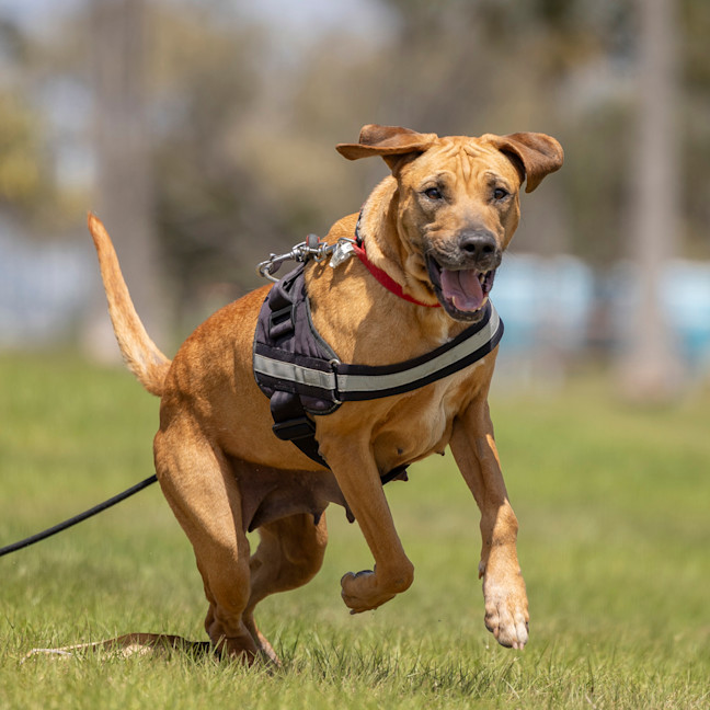 Photo of Dayna (Donya)