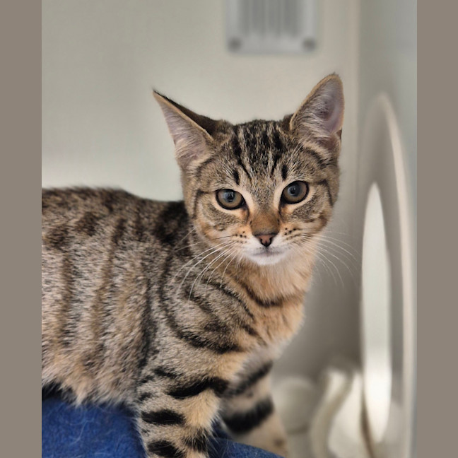 Photo of Olivia