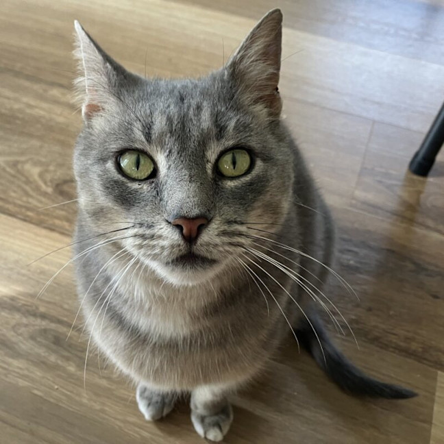 Photo of Blue