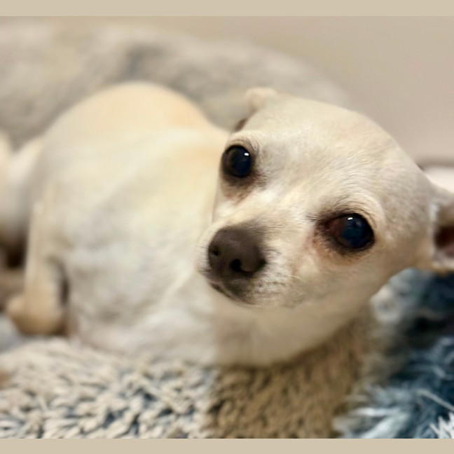 Photo of Mickey & Minnie