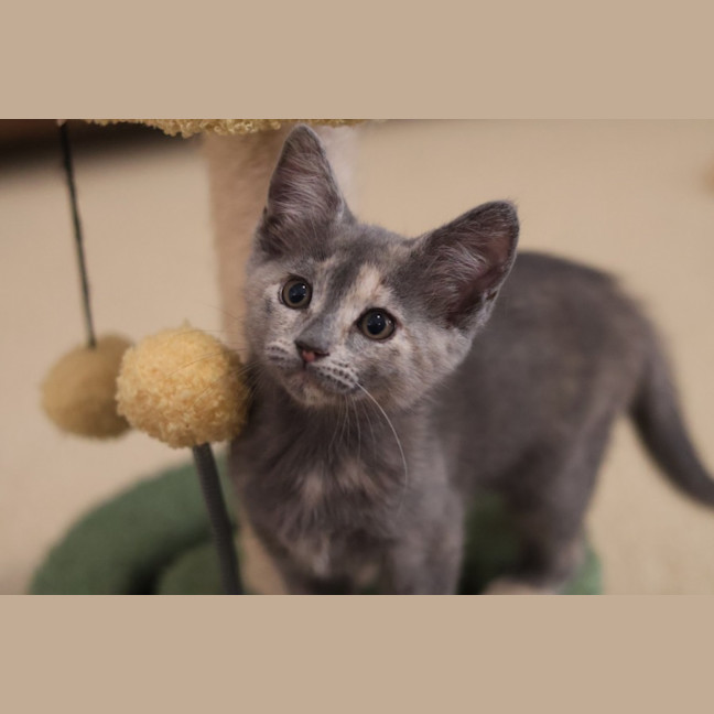 Photo of Bettina 