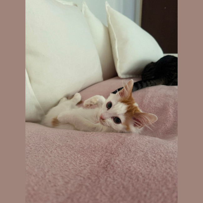 Photo of Bug