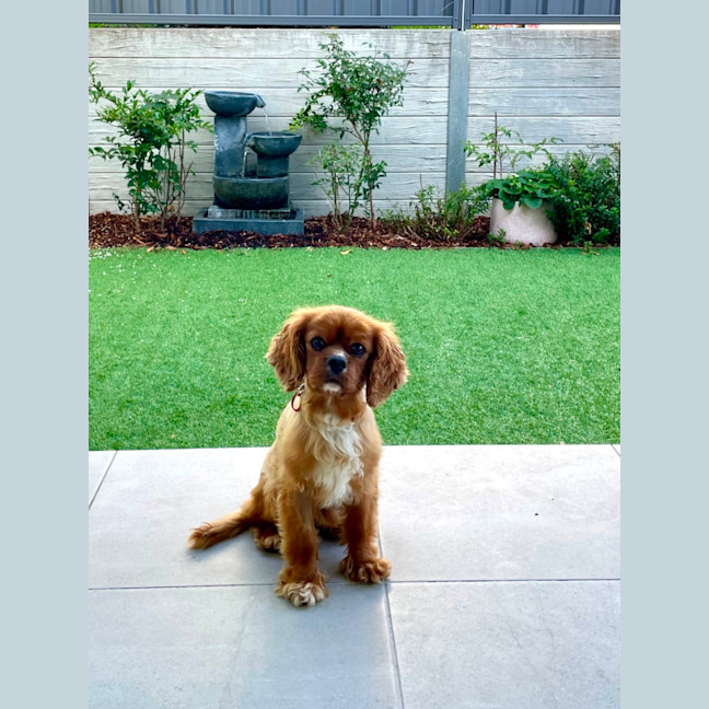 Photo of Beautiful Billy