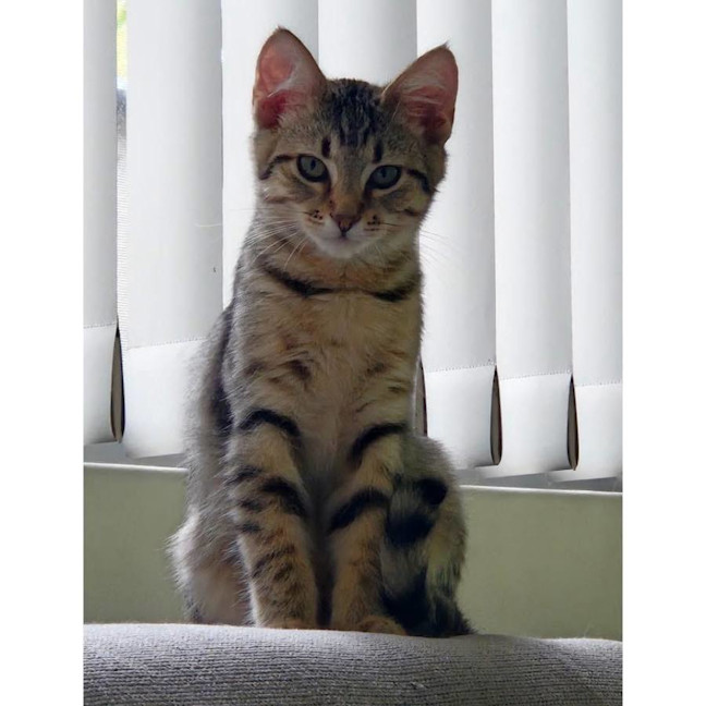 Photo of 13945   Aj