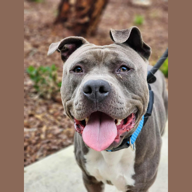 Photo of 🎡 Jaffa 6608 🎡