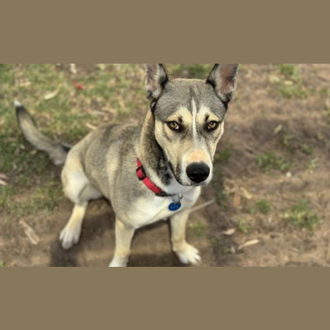 Photo of Lily