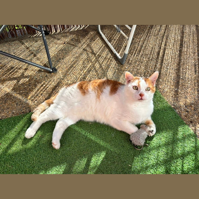 Photo of Bobby