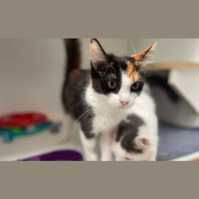 Photo of Ramona