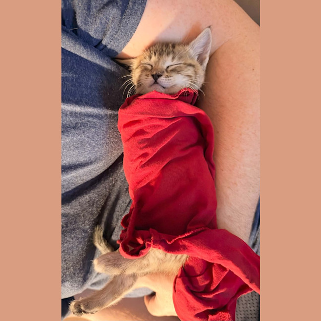 Photo of Mitzi