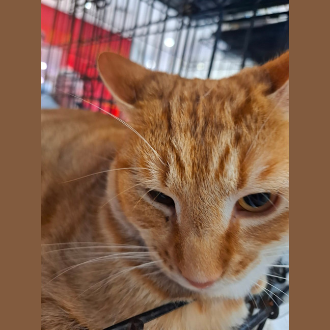 Photo of Wally
