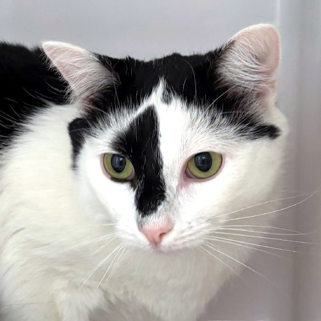 Photo of Milo Sta012316