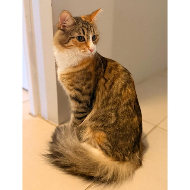 Photo of 13582   Molly