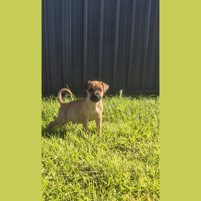 Photo of Luigi