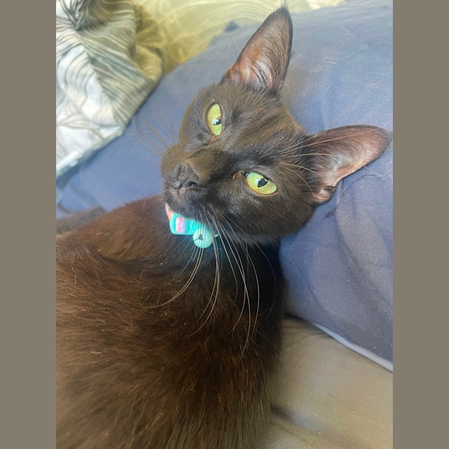 Photo of Buffy